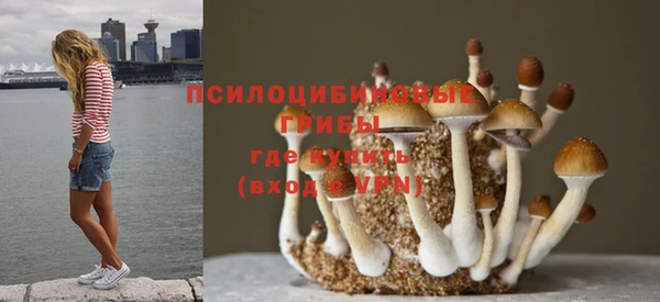 наркотики Абаза