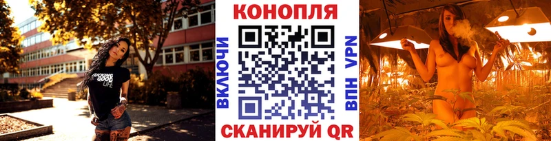Бошки Шишки марихуана Томилино